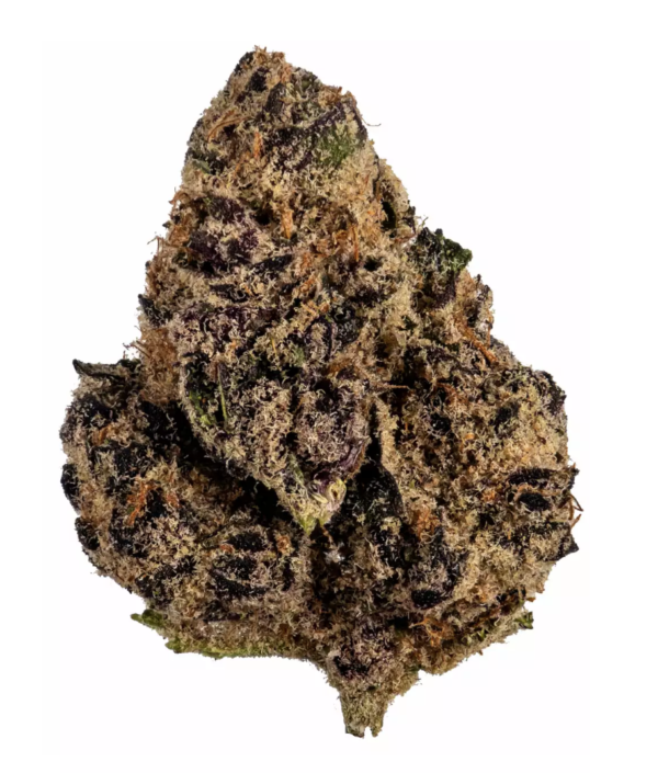 tropic truffle strain