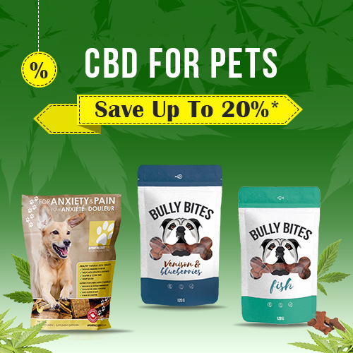 CBD For Pets